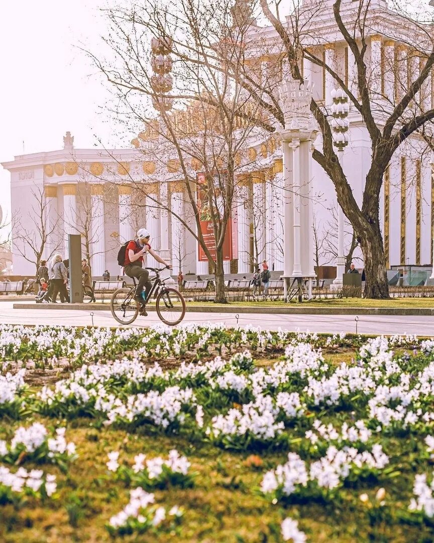 ВДНХ В Москве весной. Москва ВДНХ 2023 лето. Парк ВДНХ Москва. Красивые места в москве весной