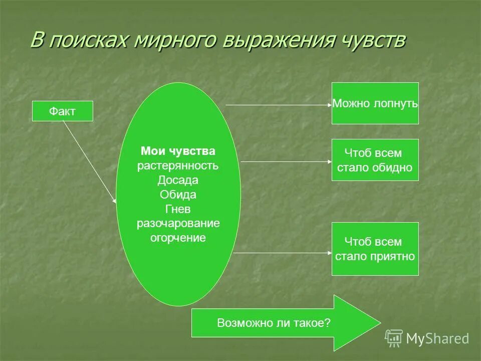 интересные факты о работе органов чувств. интересные факты о эмоциях и чувствах. интересные факты о строении и работе органов чувств. факты о строении и работе наших органов чувств 3 класс окружающий мир. интересные факты о глазах.