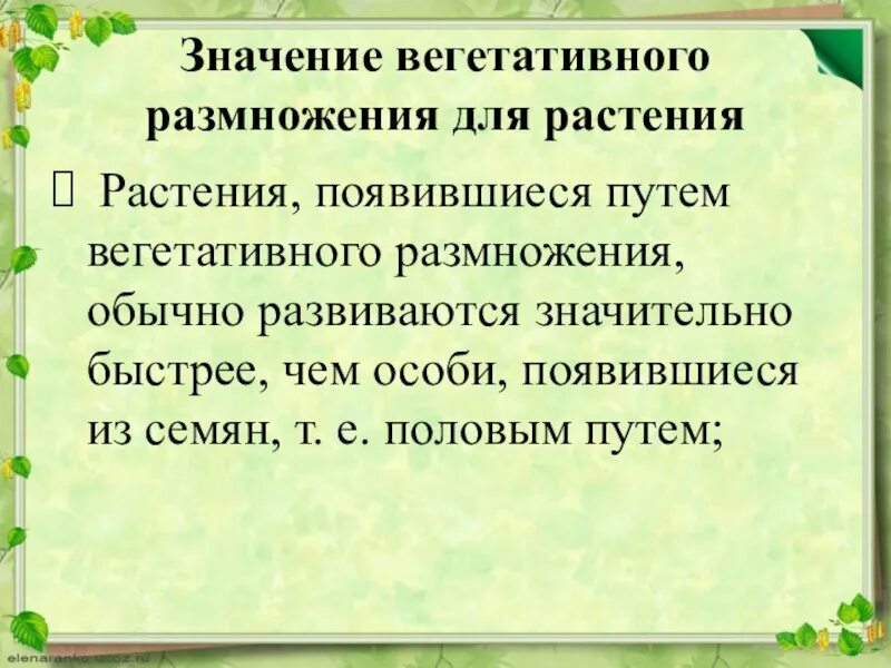 Что означает вегетативный. Значение вегетативного размножения растений. Значение вегетативного размножения. Хозяйственное значение вегетативного размножения. Значение вегетативного размножения для человека.