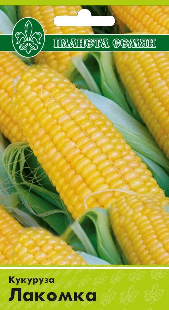 Кукуруза лакомка. Кукуруза сахарная лакомка. Кукуруза сахарная лакомка 121. Ранняя лакомка. Кукуруза лакомка.