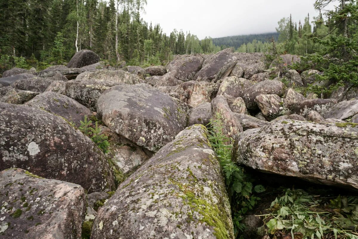 Уральские горы курумник. Каменная река Курум. Карста Курумы. Курумник Карелия.