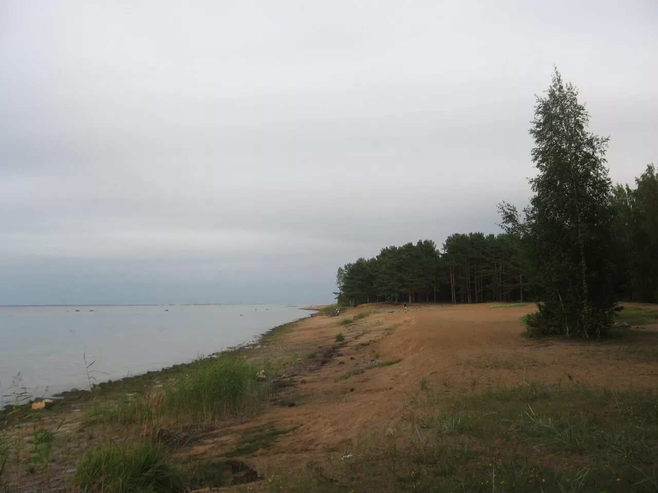 Крутой уступ плато финского залива. Курорты финского залива экскурсия. Форт красная горка обры. Лебяжье берег финского залива. Пляж в тойло эстония искусственный?.