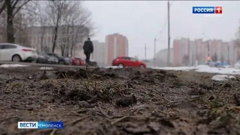 Когда в смоленске дадут