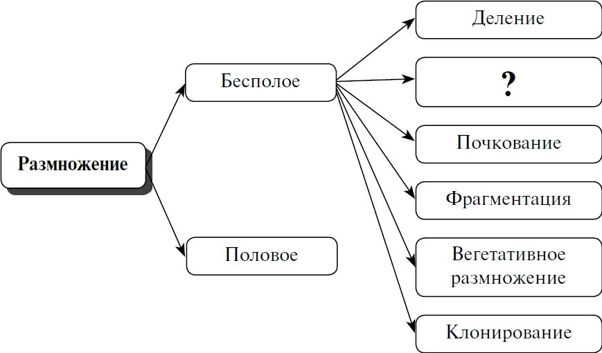 Роль растений в жизни природы и человека - презентация, доклад, проект скачать