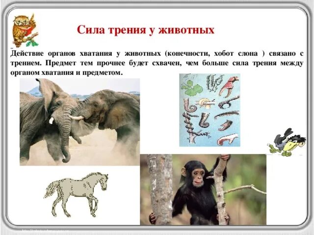 Хватание перемещение защита оленя. Действия животных. Сила животных. Сила трения в организмах животных. Сила трения природа силы.