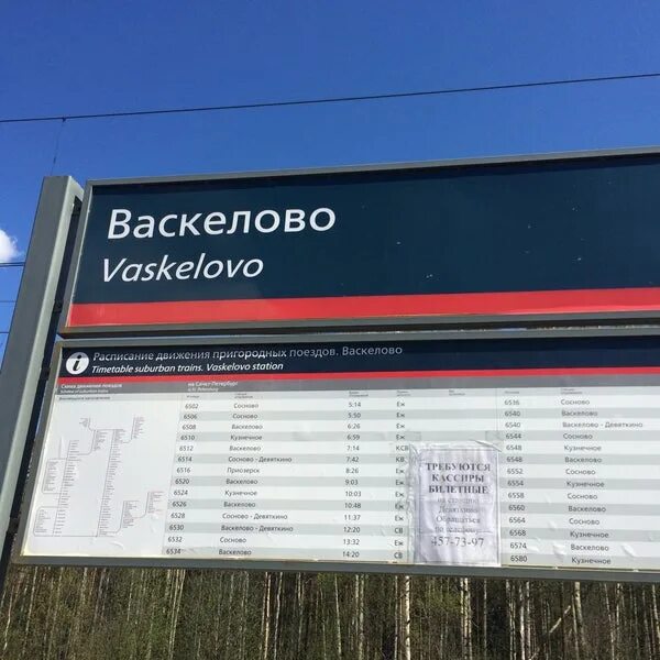 Расписание васкелово сегодня