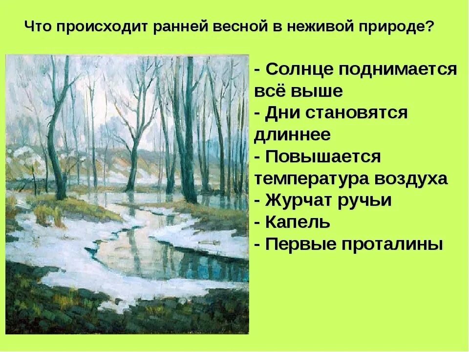 Изменения в неживой природе весной биология 5. Что происходит весной. Весенние изменения в природе для детей. Изменения с приходом весны.