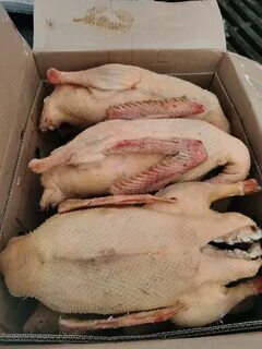 Мясо продам птица