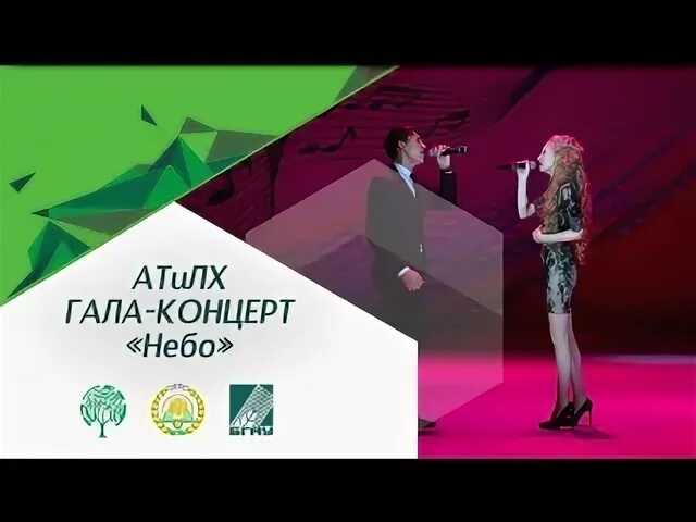 Дуэт небо