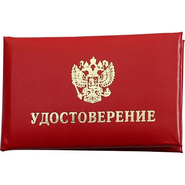 Свидетельство опекуна. Свидетельство опекуна. Исполнительная надпись пример. Свидетельство опекуна. Свидетельство опекуна.
