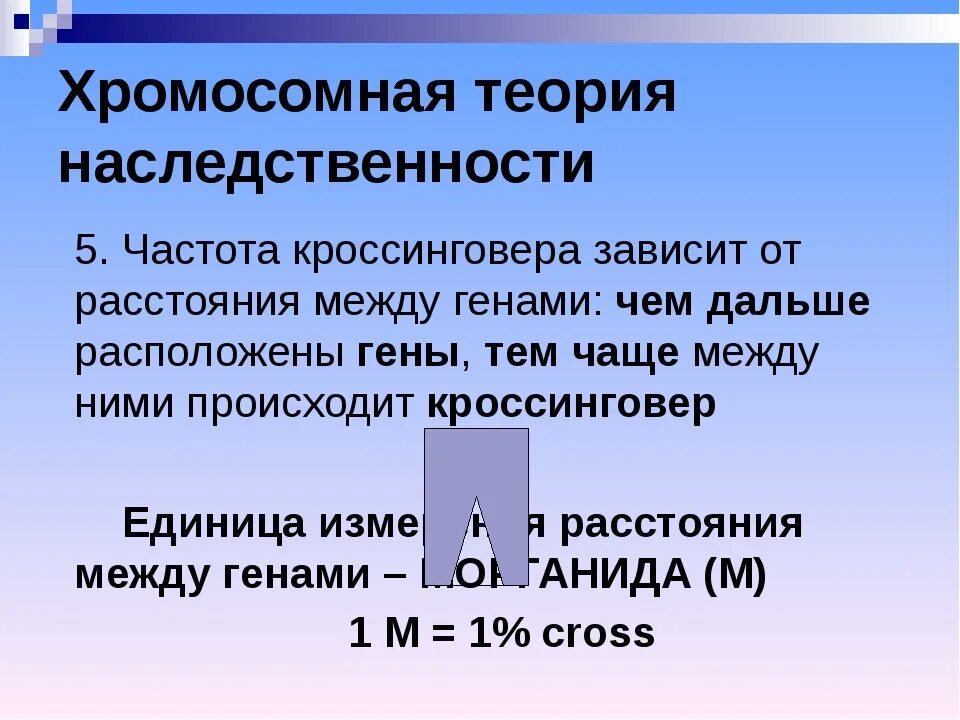 Положениями хромосомной теории наследственности является. Хромосомная теория наследственности схема. Хромосомная теория насл. Хромосомная теория наследственности Моргана. Хромосомная теория наследственности Моргана кратко.