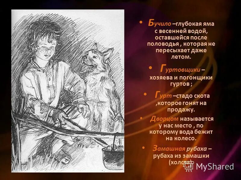 бежин луг характер павлуши. бежин луг краткое содержание. образы мальчиков из бежин луг. портрет вани из бежин луг. илюша бежин луг тургенева.