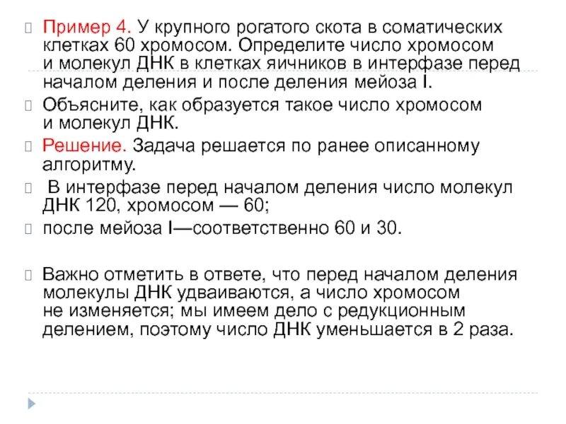 Определите количество хромосом в соматических. Яичники число хромосом. число хромосом и число молекул. число хромосом и число молекул днк. число хромосом у крс.