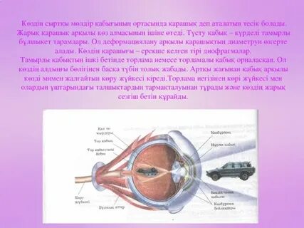 Мария Куликованың кискасы