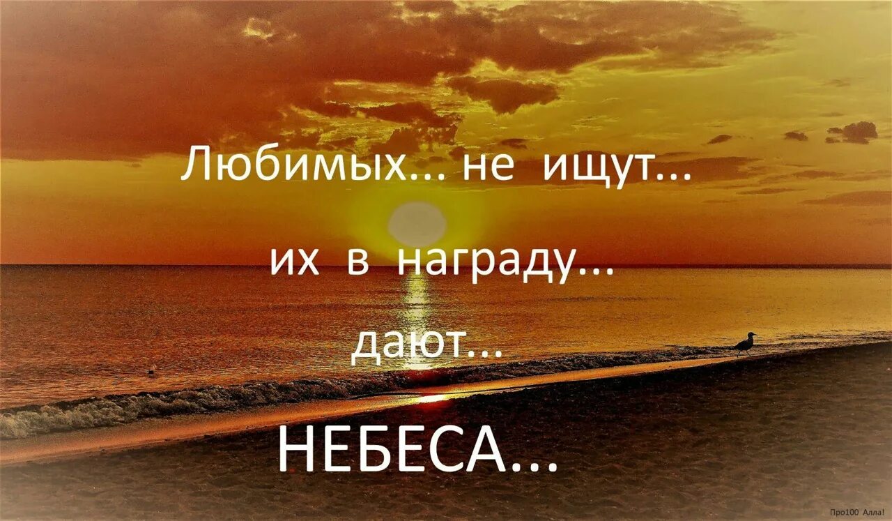 Люблю небо дай бывших. Любимых в награду дают небеса. Любимых не ищут их в награду. Любимых не ищут их в награду дают небеса цитаты. Мне тебя послали небеса.