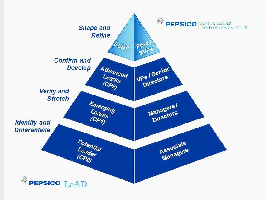 Смарт баланс схема. Strategic competence. Market entry strategies pros and cons. Портфолио дел картинки. Assessment criteria and requirement.
