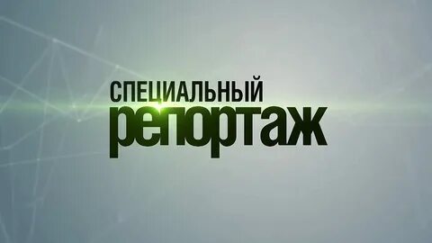 Мир 24 дзен