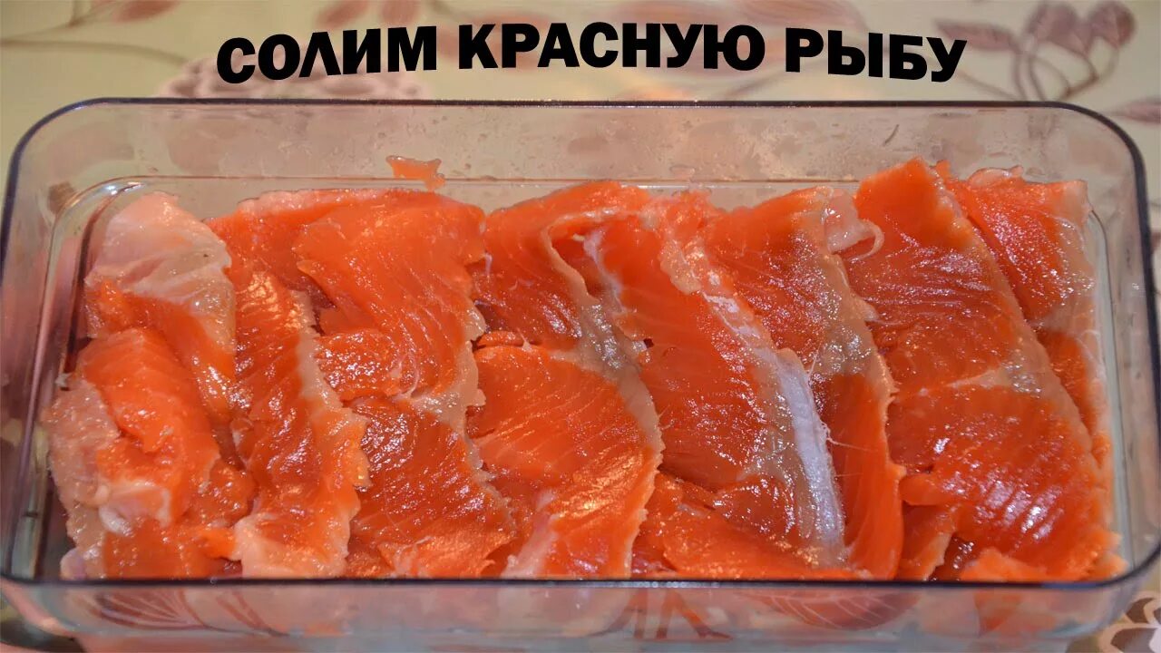 Красная рыба засолка вкусная. Солёная красная рыба в домашних. Засолка красной рыбы. Как солить красную рыбу. Малосольная рыба в контейнере.