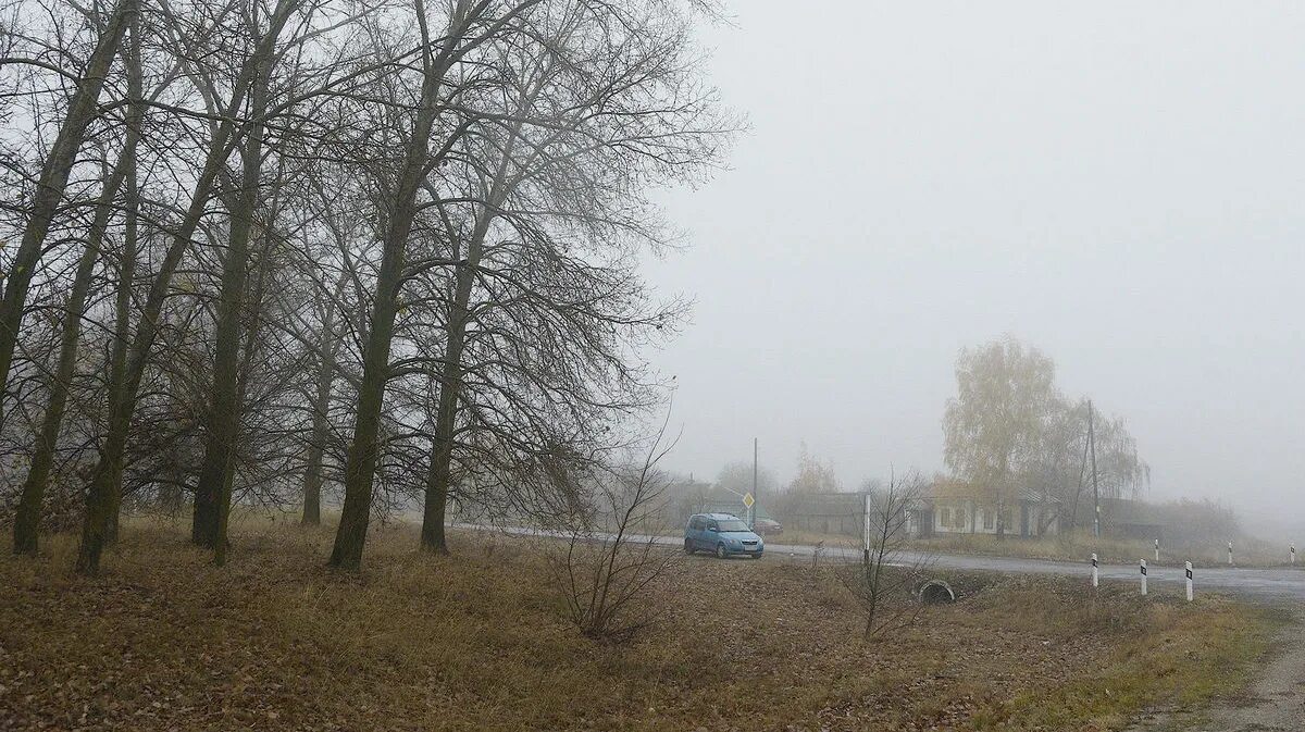 Гроза в Воронеже. Туман дождь гроза туман. Туманное место.