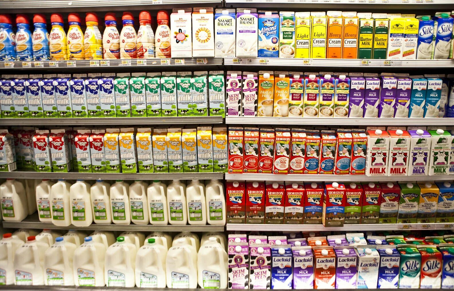 They sell milk in this. Молочные продукты Германия супермаркет. Чешские молочные продукты. Costco Milk. Milk Shelf.