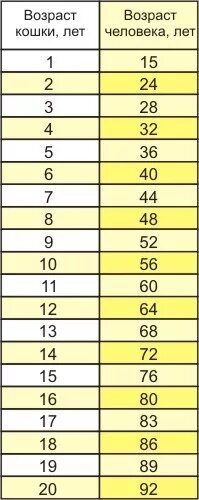 Таблица возраста кошек. Годы морских свинок по человеческим меркам. Кошачьи года на человеческие. Таблица возраста попугая.