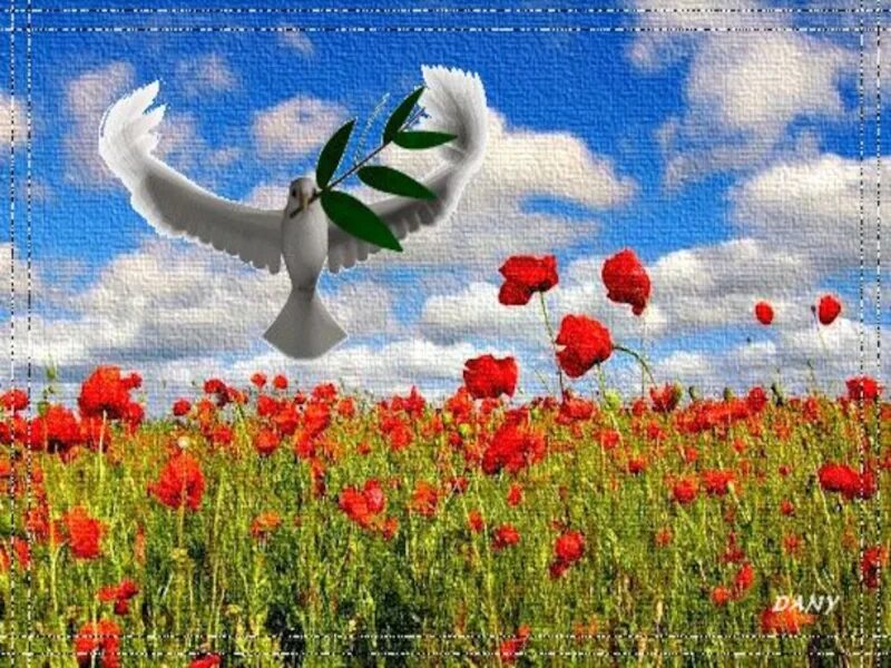 Доброго мирного неба