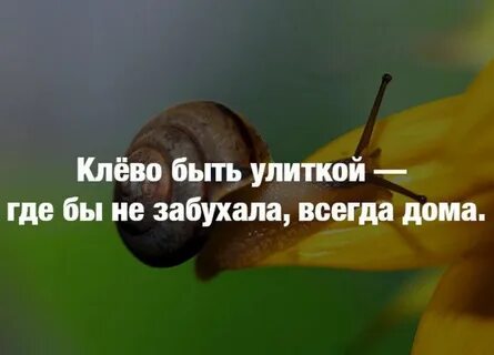 Песня все будет хорошо куда бы