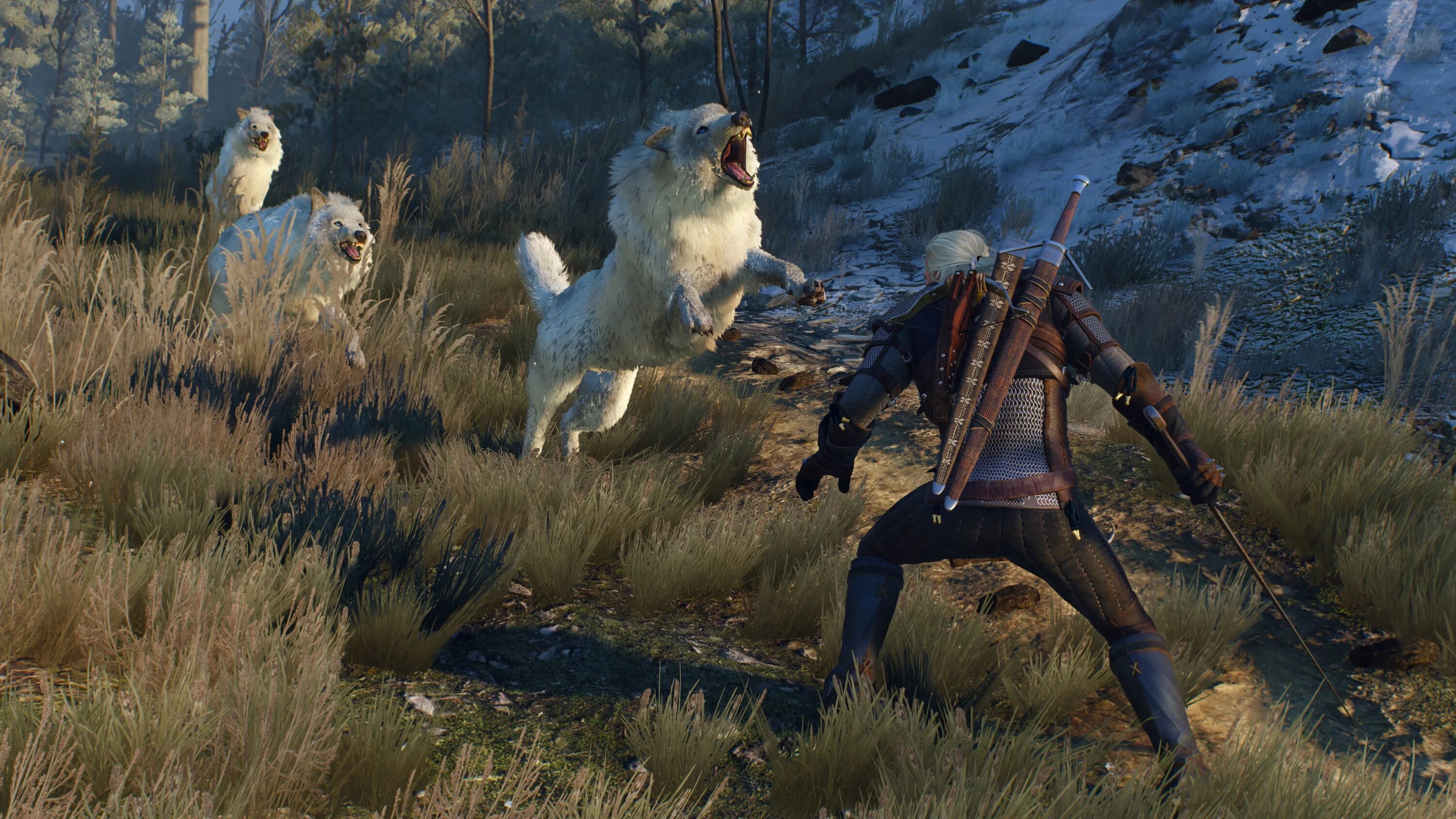 The Witcher 3 Wild Hunt. Ведьмак 3: Дикая охота. Ведьмак вилд Хант. Hunt ps4