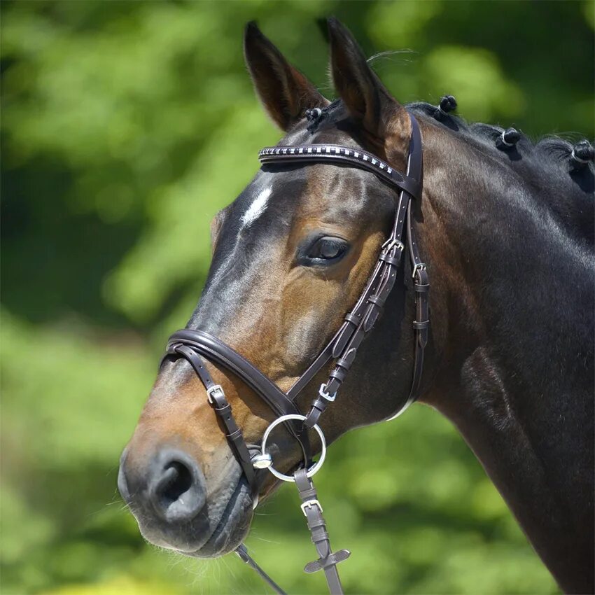 Уздечка декатлон. Уздечка. Уздечка horze. Уздечка киффер. Мундштучное оголовье для лошади.