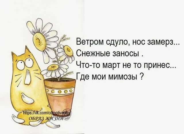 Ты ветров не бойся. Пусть проблемы ветром сдует картинки. Как ветром сдуло фразеологизм. Цитаты про ветер смешные. Смешные фразы про ветер.