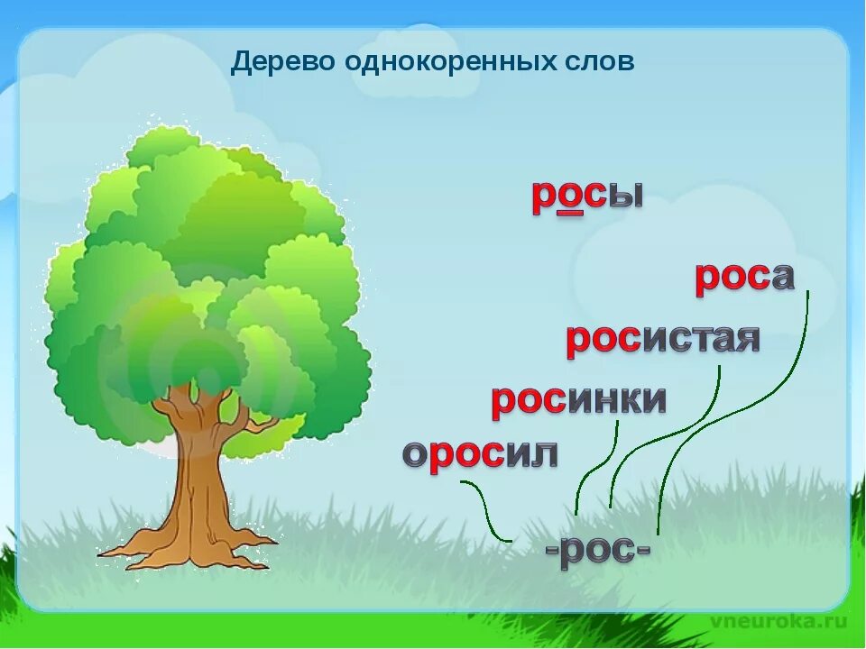 Дерево на начало слова. Дерево с однокоренными словами. Однокоренные слова к слову роса. Однокоренные слова к слову дерево. Дерево родственных слов.