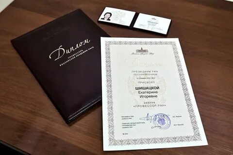 Профессор звание