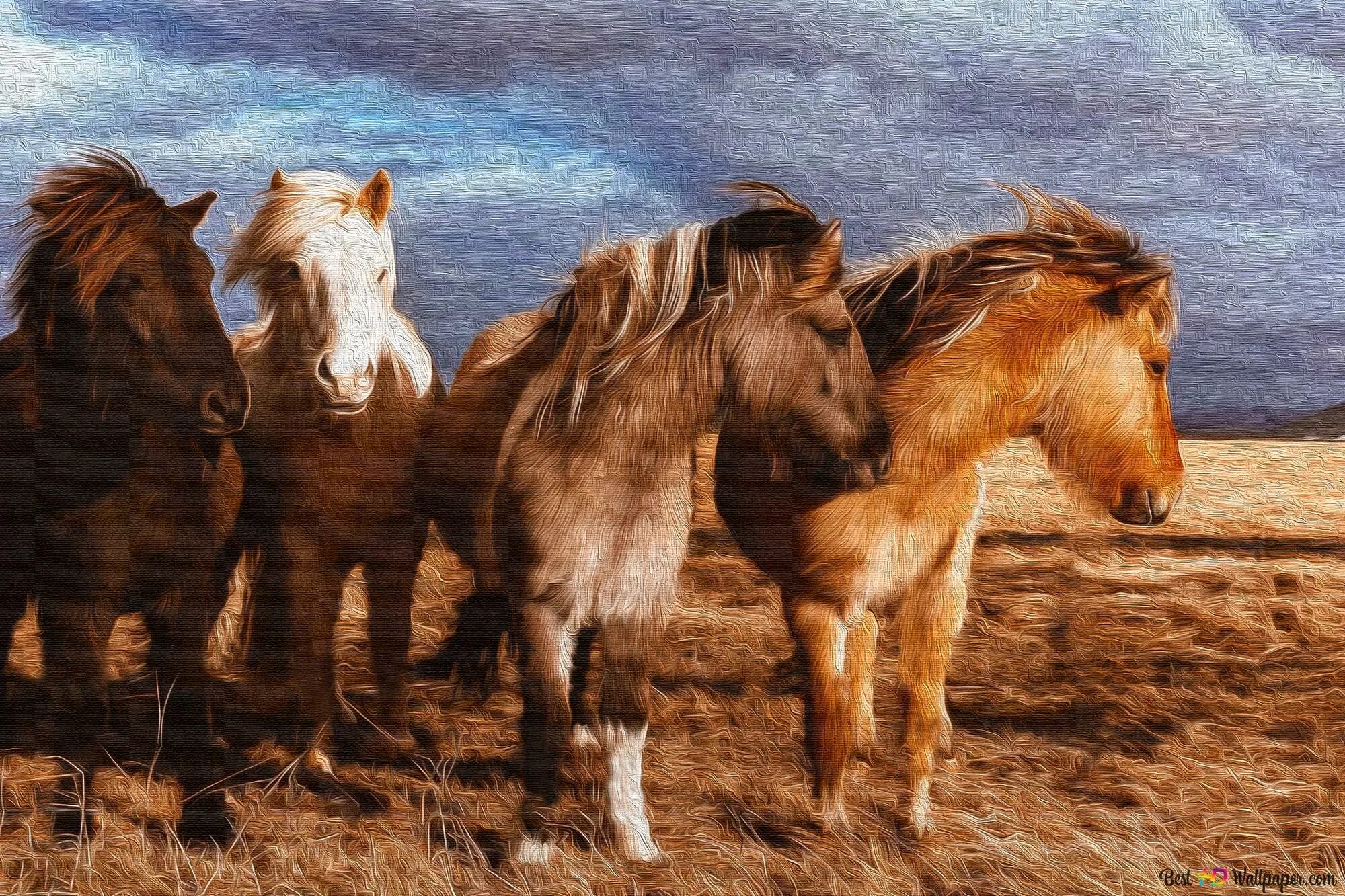 Четверо коней. Лошади. Табун лошадей. Картинки на рабочий стол кони. Мустанг лошадь.