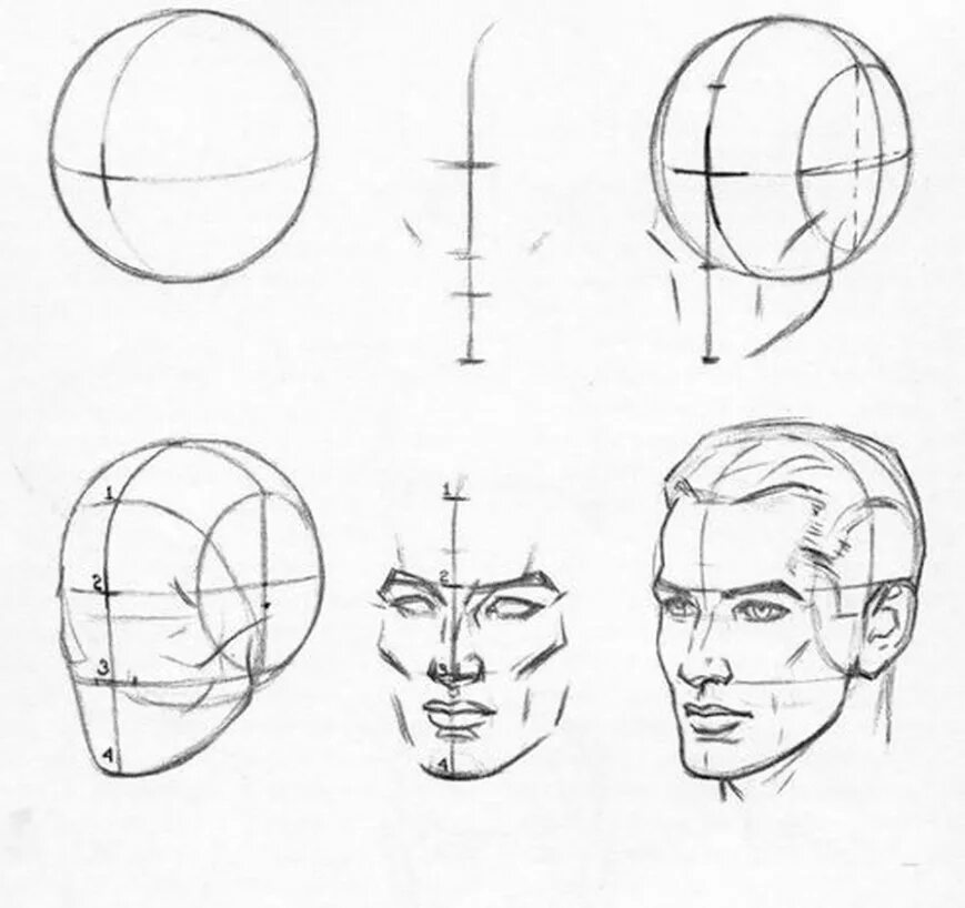 Лицо рисунок схема. Построение головы человека Эндрю Лумис. Эндрю Лумис пропорции человека. Портрет техника Эндрю Лумиса. Эндрю Лумис рисование головы и рук.