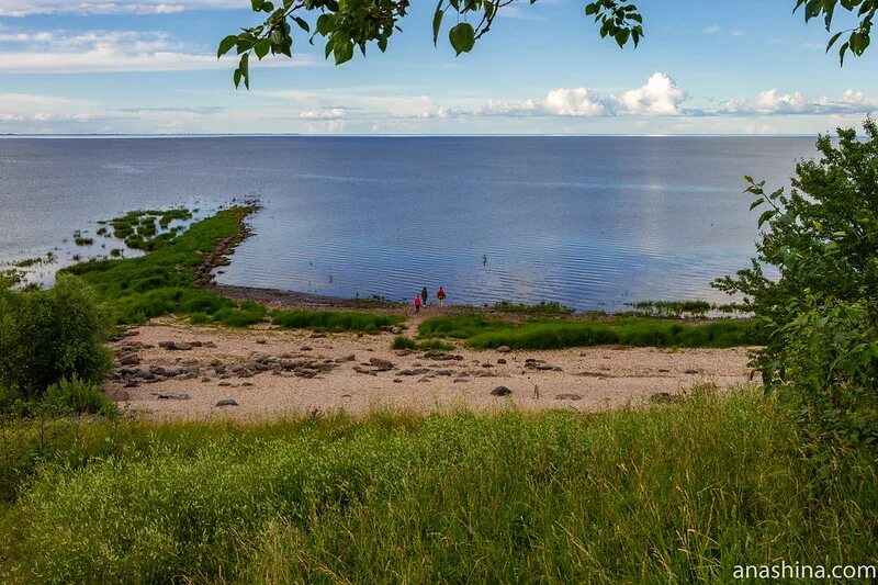 Озеро Ильмень Коростынь. Коростынь Ильмень Новгородская область. Коростынь Новгород Ильмень. Деревня Коростынь озеро Ильмень. Коростынь новгородская область