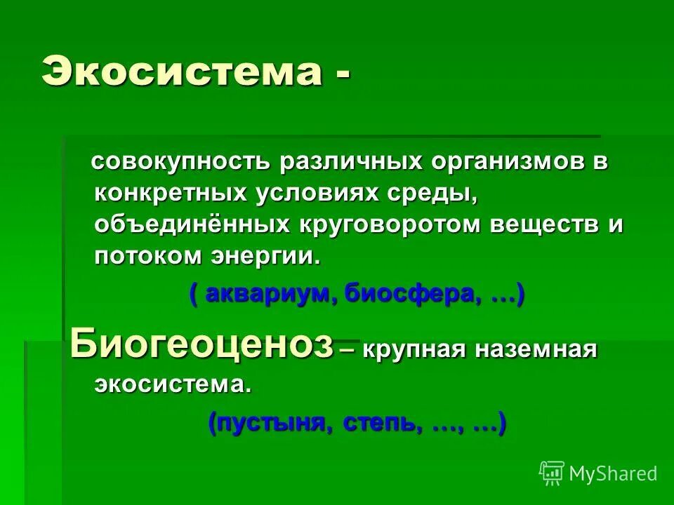 Информация совокупность различных. Экосистема это совокупность. экосистема это совокупность организмов. биогеоценоз это совокупность. биогеоценоз это совокупность живых организмов.