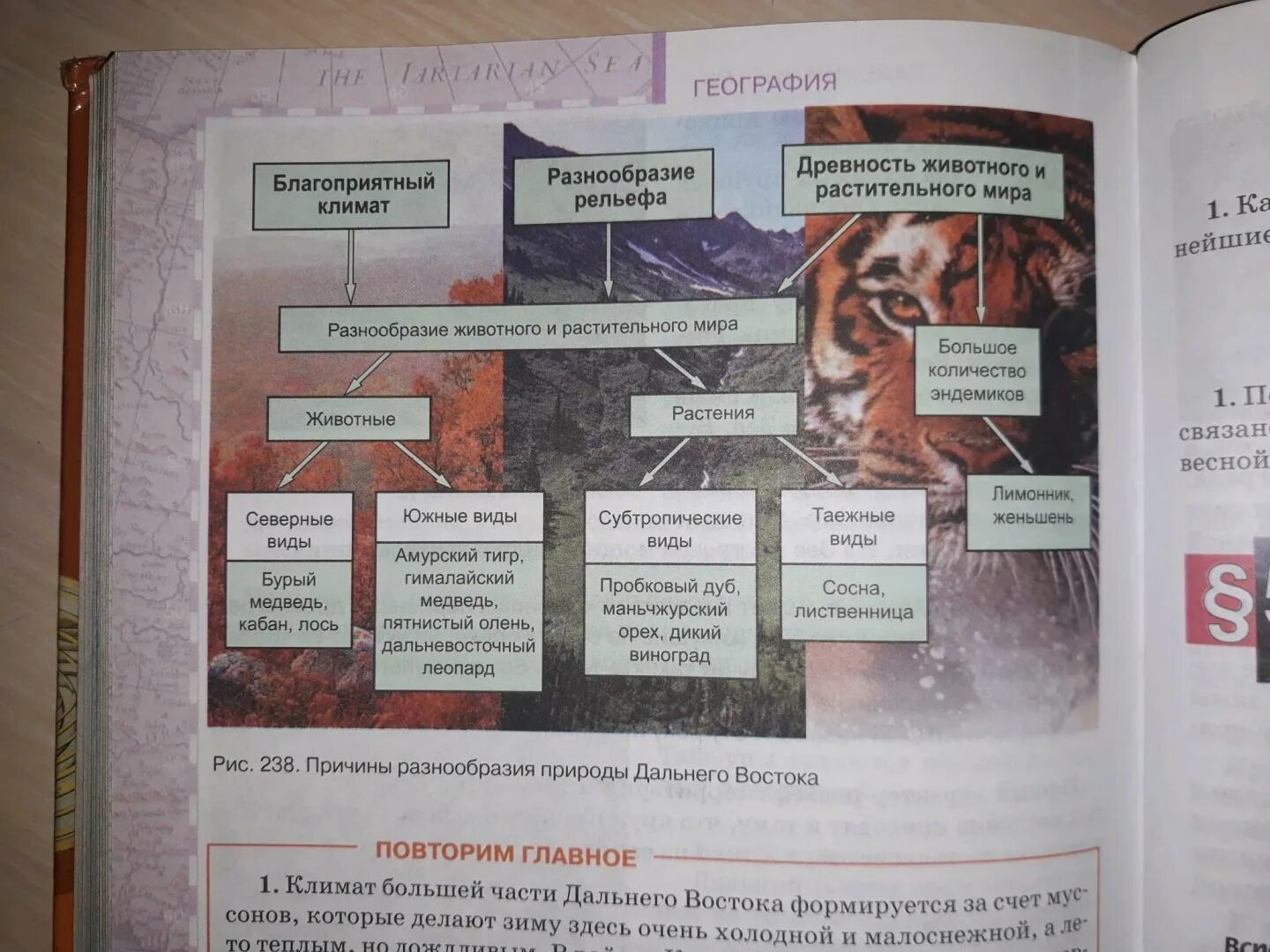 География. 8 Класс. Учебник. География 8 класс конспекты. География 8 класс Домогацких. Класс география 8 класс. Разработка урока география 8 класс