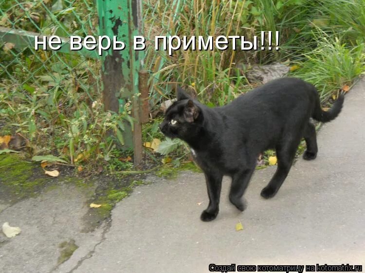 Верь себе цитаты. Я не поверила в примету. Весна черемуха. Фразы про чудеса. Я властелин мира.