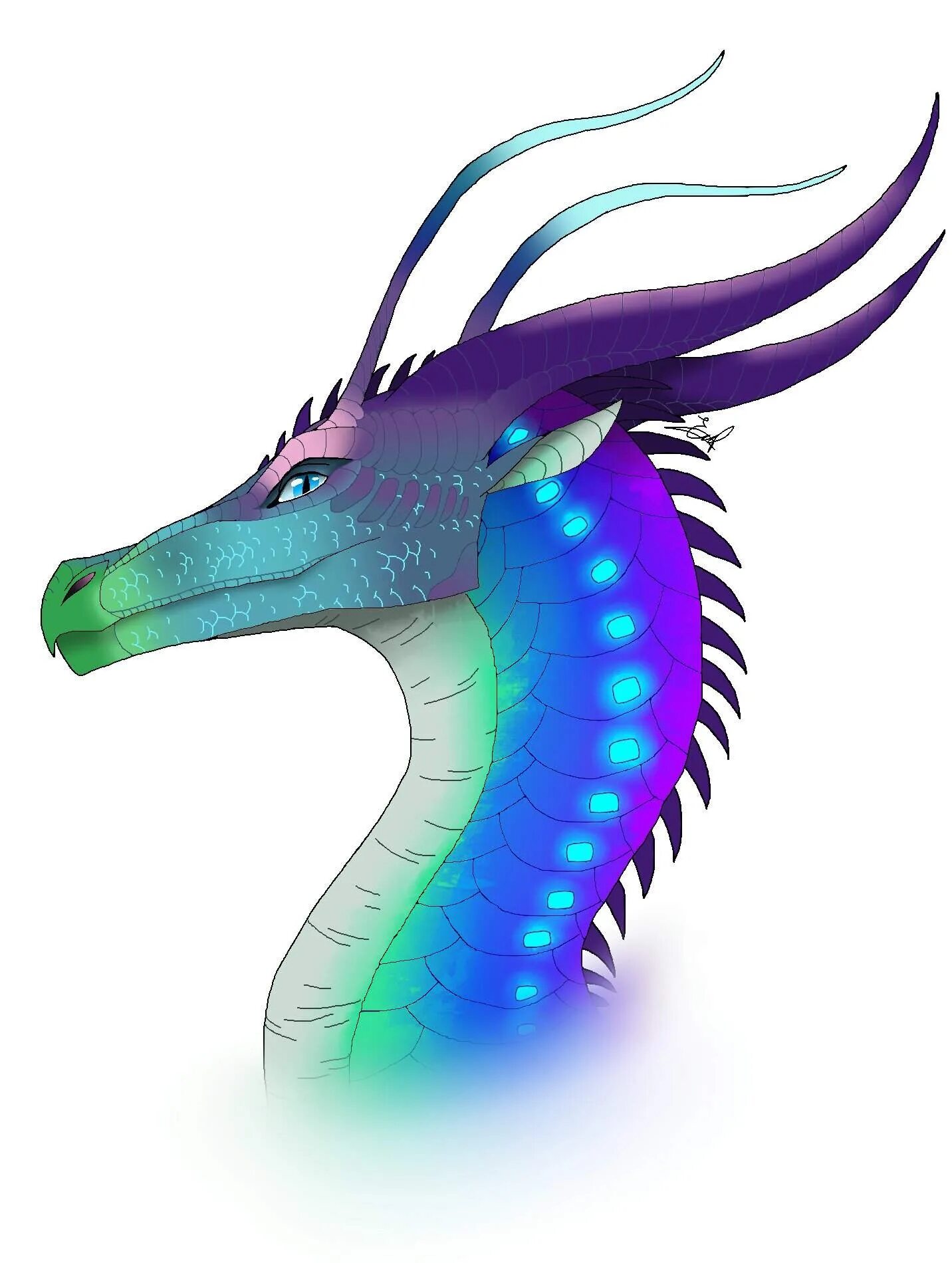 Драконы саламандры адопты персонажи. Дракон рисунок. Идеи для драконов. Драгон рейнбоу. Драконья сага ореола.