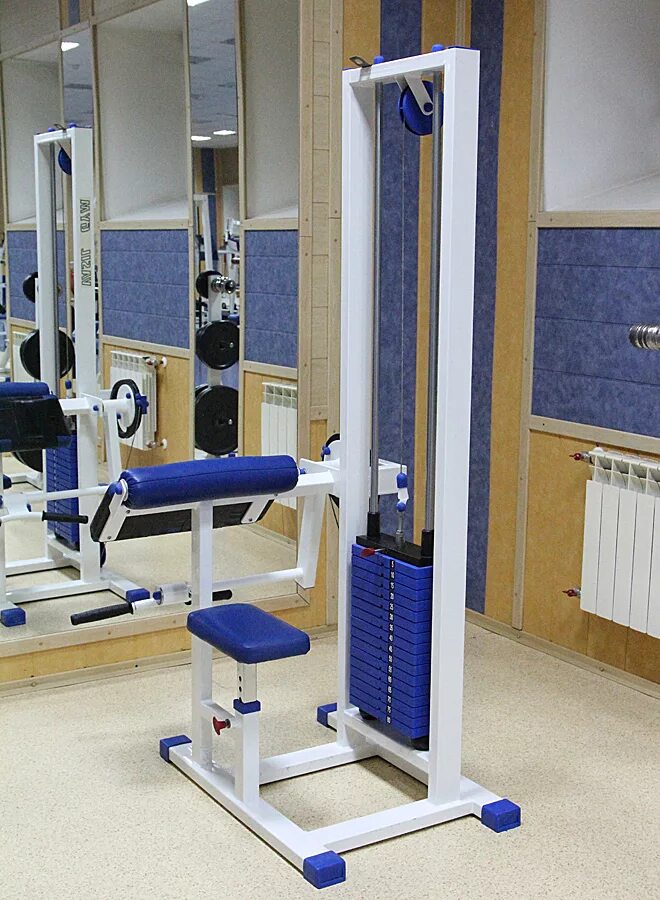 Vasil gym