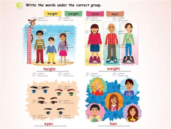 Put the following words under the headings. Group the words under. Group the words under. Group the words under. Some word.