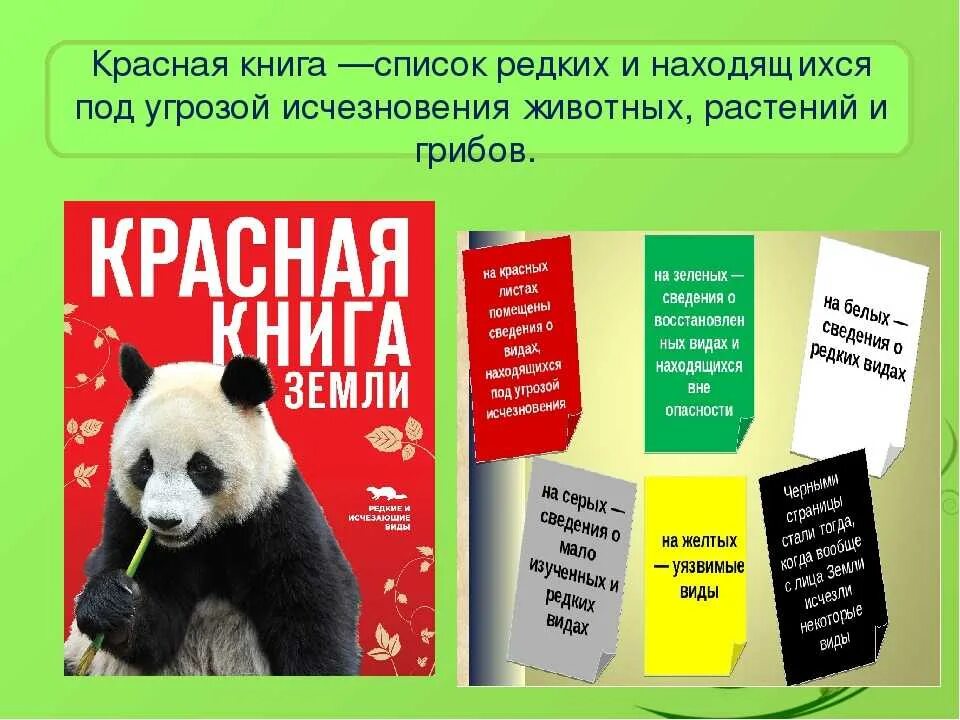 Красная книга какая она. Странички красной книги. Страницы красной книги России. Международная красная книга страницы. Страницы красной книги животные.