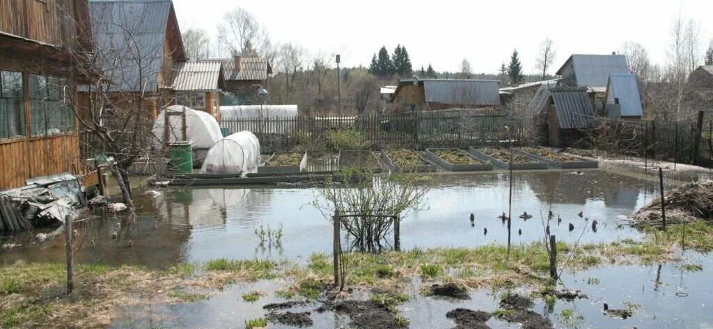 Уровень воды воды район новосибирска. Затопленные дачи. Затопило дачный участок. Затопленный садовый участок. Подтопление приусадебного участка.