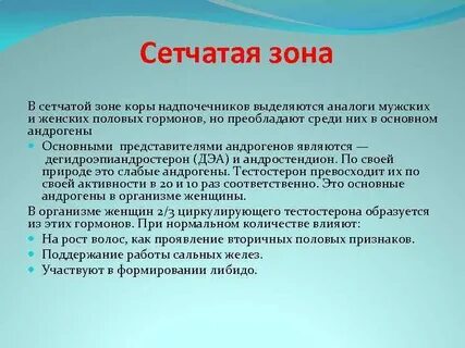 Сетчатая зона