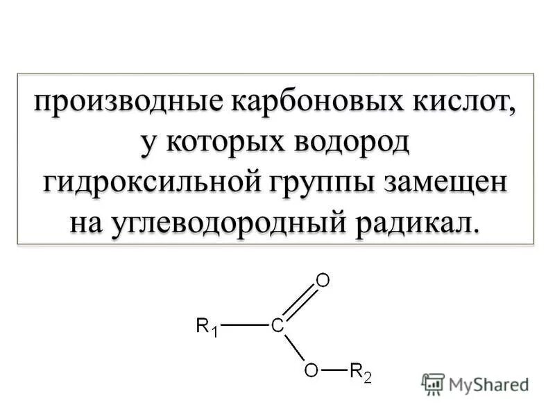 Производные карбоновых кислот 10 класс