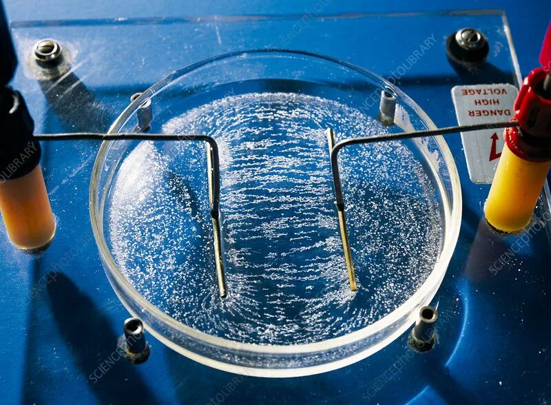 Fields experiment