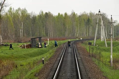 Обл 5