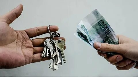 Законопроект о посуточной аренде