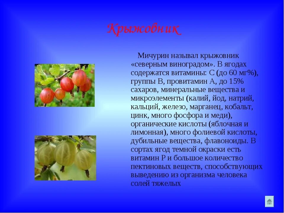 Крыжовник содержание витаминов. Загадка про крыжовник. Крыжовник витамины и микроэлементы. Ягода крыжовник витамины. Какую ягоду называютсеаерным виноградом.