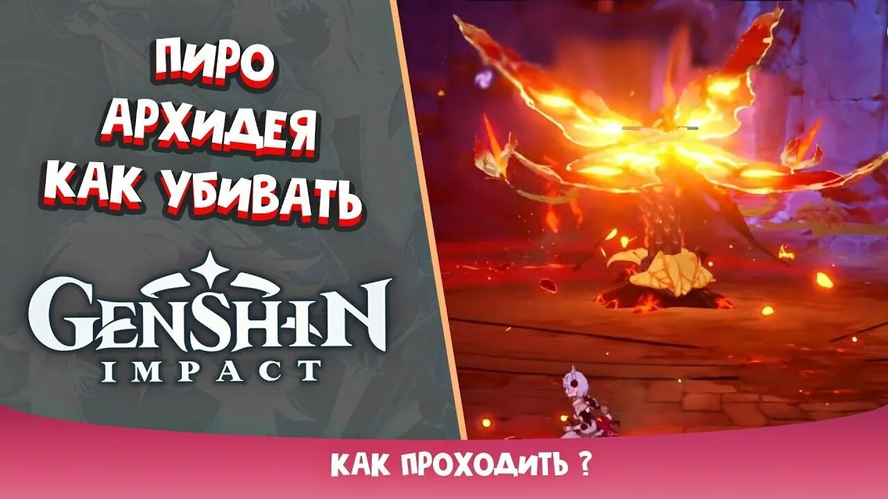 Genshin impact пиро орхидея. Орхидея Геншин Импакт. Пиро архидея Геншин Импакт. Пиро Орхидея. Пиро Орхидея Геншин.